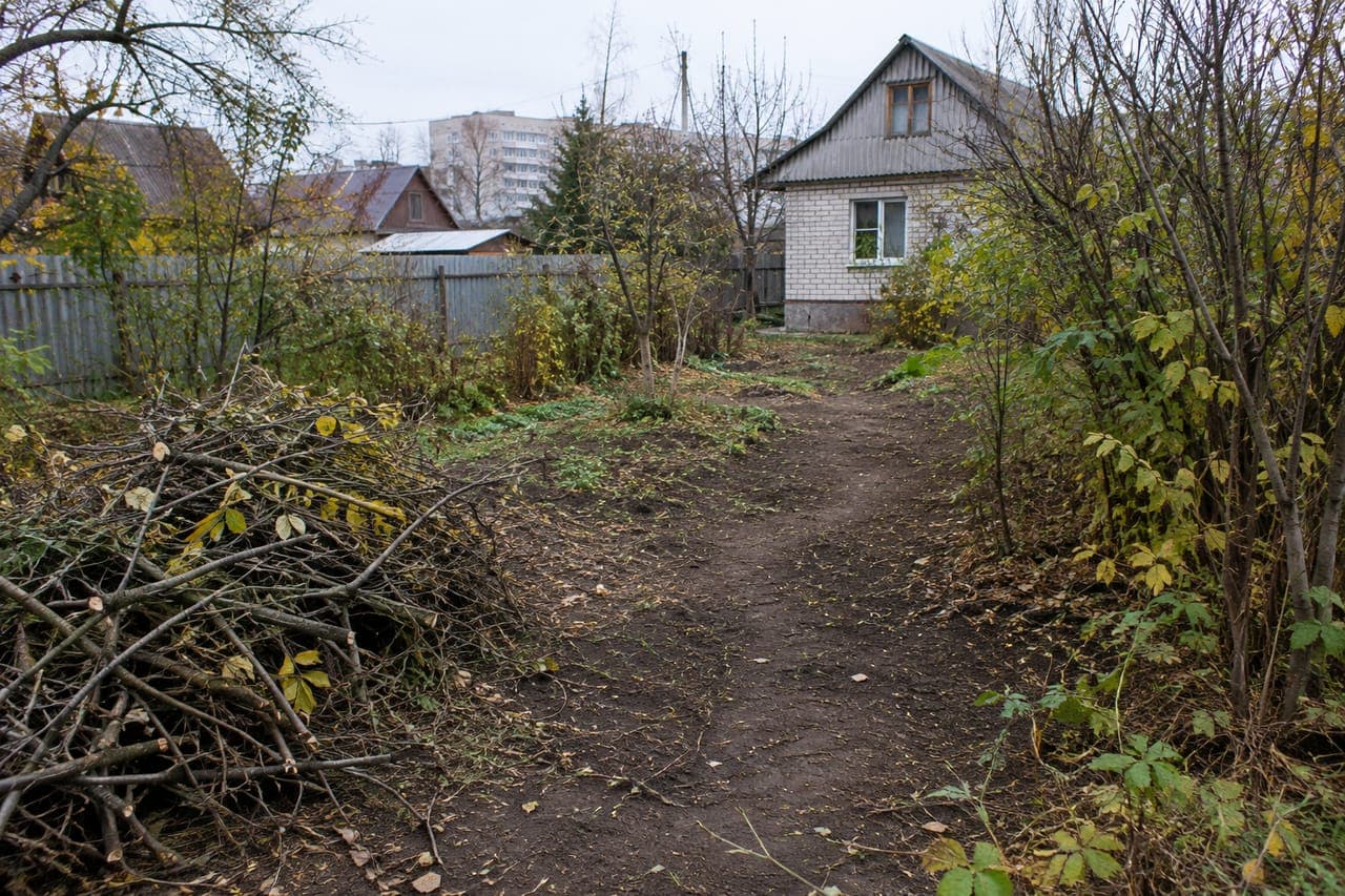 Очищення ділянки від чагарників: осінній план робіт